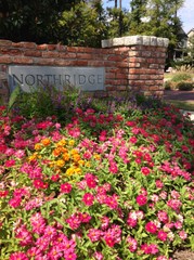 Highlight for Album: Northridge